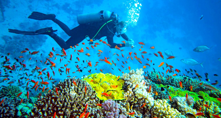 Explore Andaman 5N # 6D