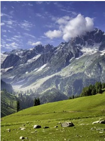 Kashmir