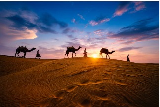 ROYAL RAJASTHAN TOUR