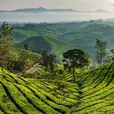 BANGALORE - MYSORE - OOTY- COONOOR - COIMBATORE